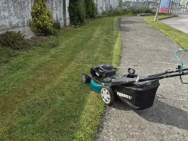 Grass verge cut beside a footpath with a petrol lawnmower